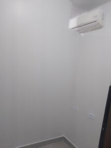 Pintor Profissional