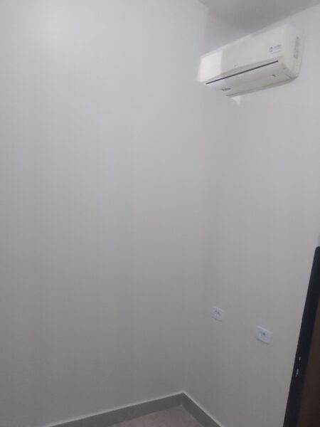 Pintor Profissional