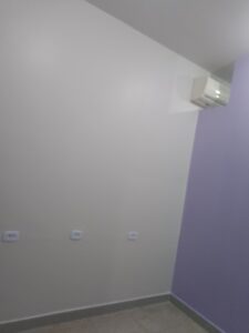 Pintor Profissional