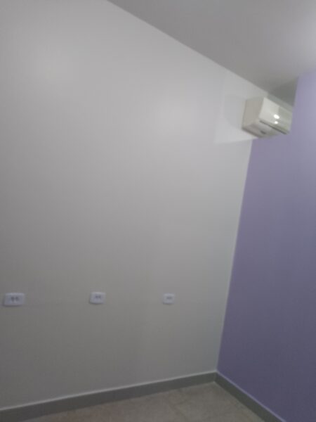 Pintor Profissional