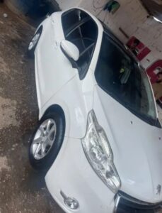 Carro pageout