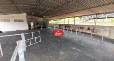 FAZENDA C/ 122 HÁ LEITEIRA E PECUÁRIA A VENDA NA REGIÃO DE ITAPETININGA-SP